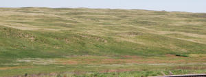 Grass-covered hills.